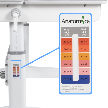 Ростовая шкала