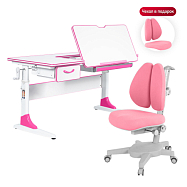 комплект anatomica study-120 парта + кресло + органайзер + ящик Anatomica Study-120 Set